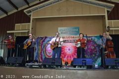 DSC_2353_edited-1