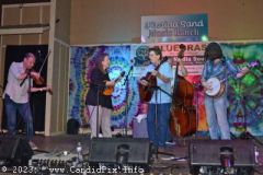 DSC_2377_edited-1