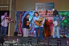 DSC_2378_edited-1