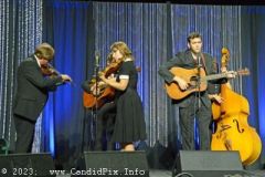 DSC_4619_edited-1