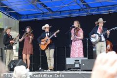 DSC_4771_edited-1