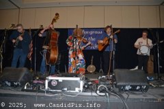DSC_1874_edited-1