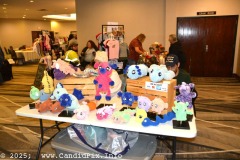 DSC_5582-copy