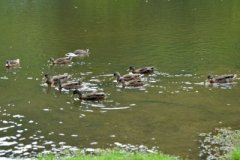 DSC_3998_edited-1