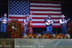 DSC_4786_edited-1