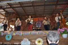 DSC_1378_edited-1