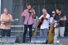 DSC_8768_edited-1