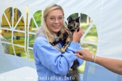 DSC_8458_edited-1