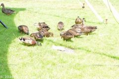DSC_0082_edited-1