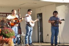 DSC_0731_edited-1
