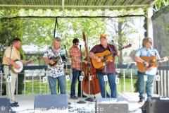 Bluegrass in the Park 2023