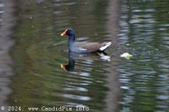 DSC_5874_edited-1